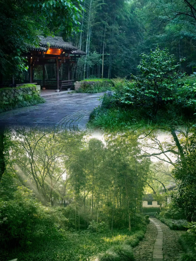 朋友圈已經洗版了！住趙露思同款庭院