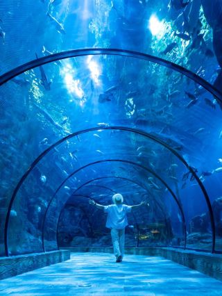 2-Day 1-Night Guide to Zhoushan Changqiao Resort