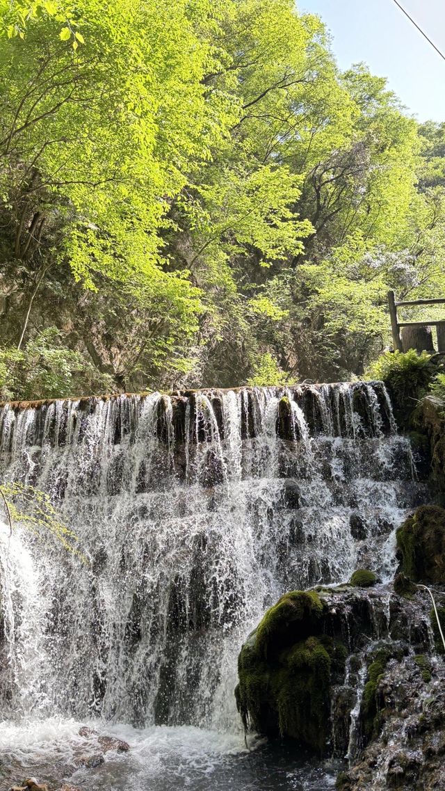 洛陽旅遊攻略