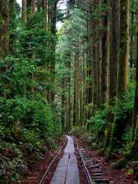 日本私藏小眾美景推薦，避開人潮，靚到窒息