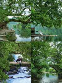 婺源端午兩日漫遊