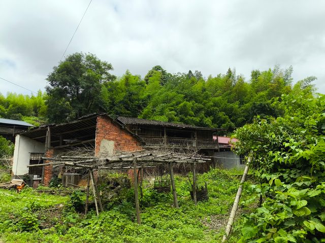 探索清流溫家山