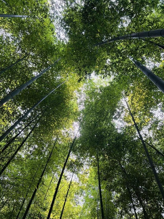 打工仔週末旅行第38站安徽 馬鞍山