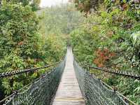  Yaolin national forest park trails 