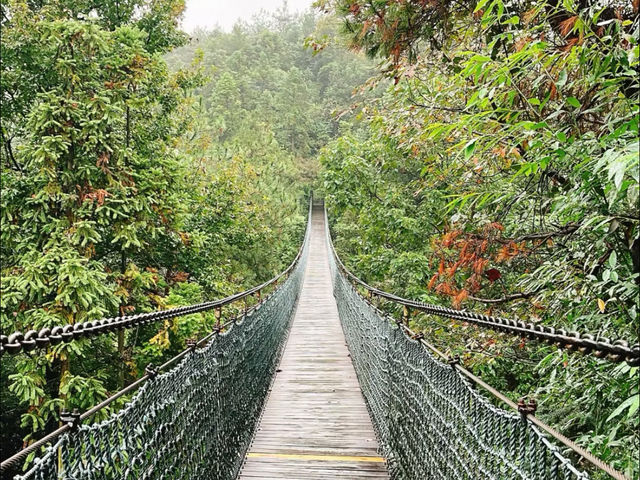  Yaolin national forest park trails 