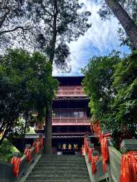 千島湖｜杭州出發，體驗做一日島民