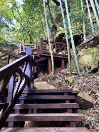 德清｜莫干山徒步，自然野趣與人文浪漫瘋狂碰撞