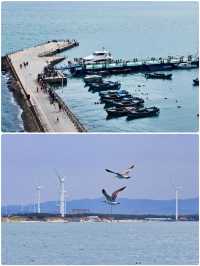 雞鳴島受罪已回，真不建議6月份去因為...