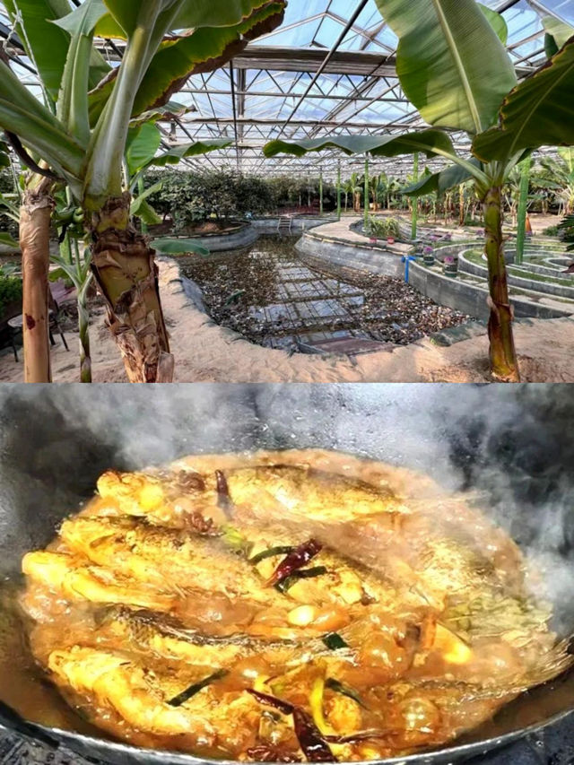 天津寶坻兩日一夜，沉浸式打卡北方小江南！