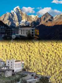 四姑娘山星山月影·懸崖民宿：與自然共舞的夢幻之旅