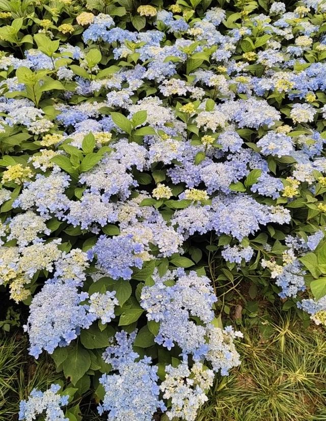 貴陽登高雲山 | 寶藏公園遊玩