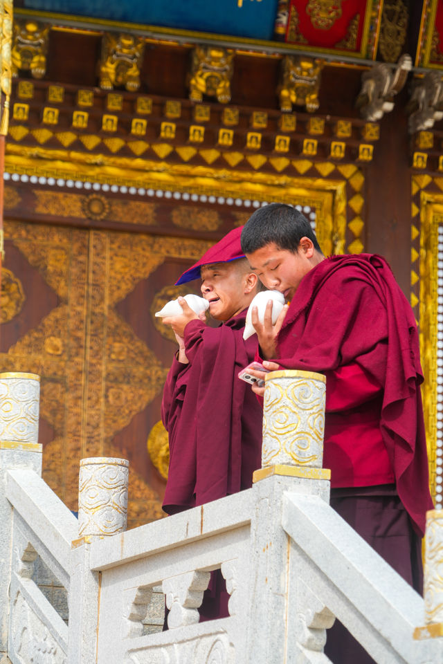青海之旅｜邂逅龍羊峽當家寺，聆聽心靈梵音