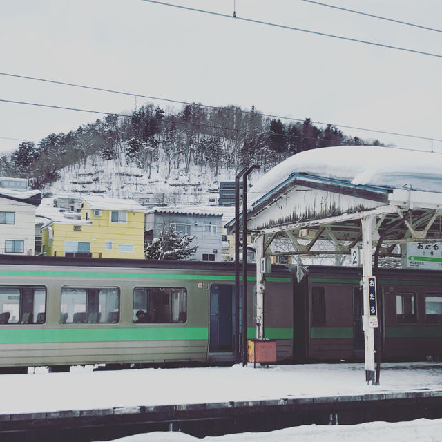 冬日童話：去北海道嘅次數只有0次同N次