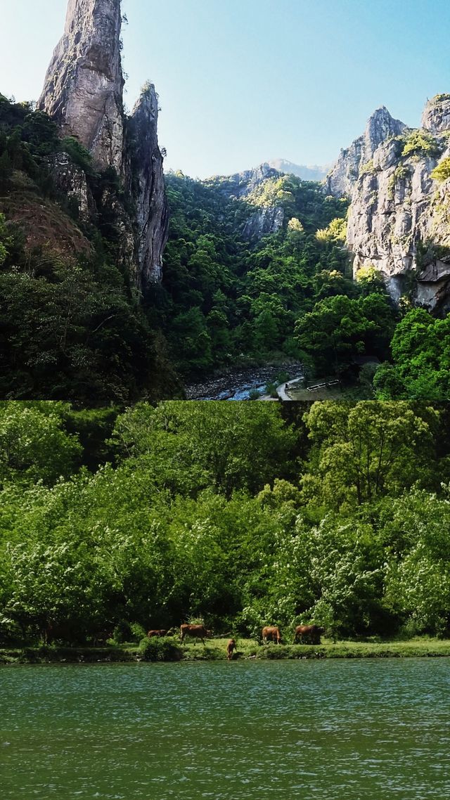 【楠溪江避世攻略】水墨山水間，藏住神仙生活！