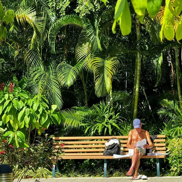 香港動植物公園！呢個冷門公園火烈鳥喺陽光下靚到令人窒息