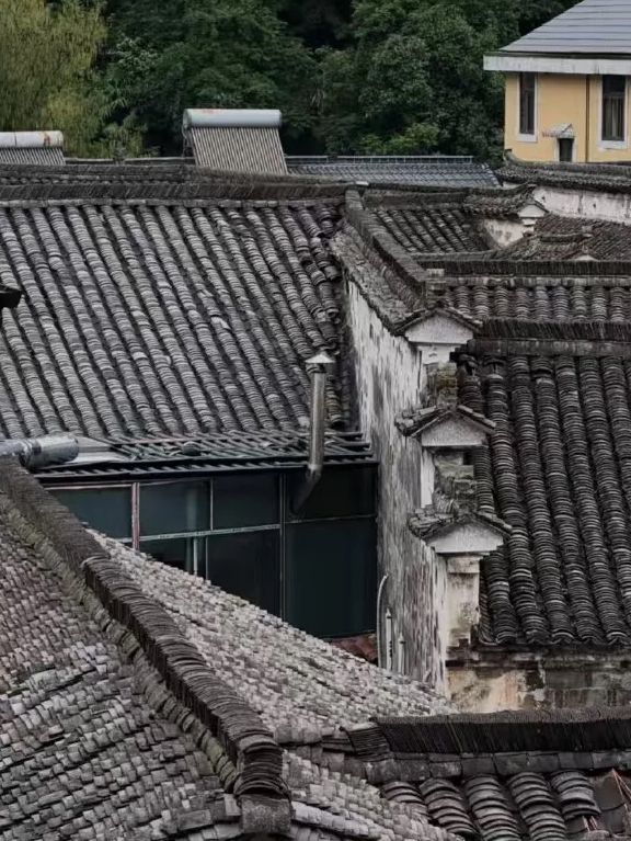 桐廬週末話走就走～