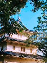 *【東京の隠れ家：皇居東御苑で江戸の歴史を歩く】**  
