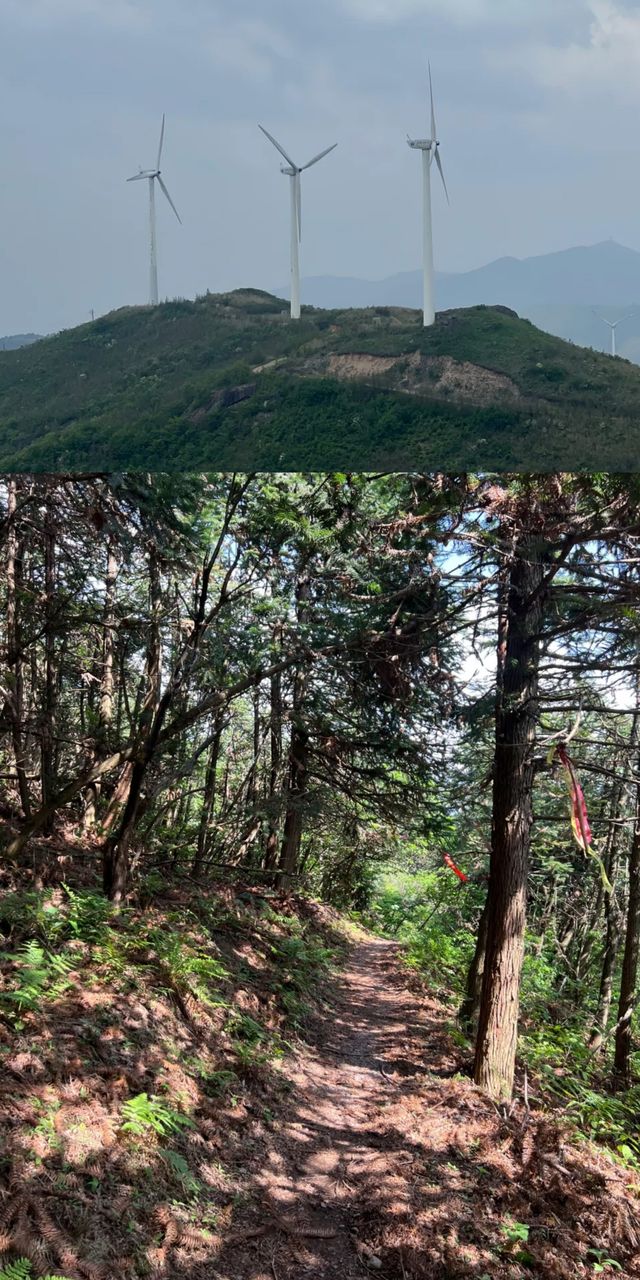 東白山徒步露營攻略，錯過後悔一整年！