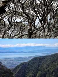 比玉龍雪山更仙！比峨嵋山更野！大理風花雪月終極攻略嚟啦！