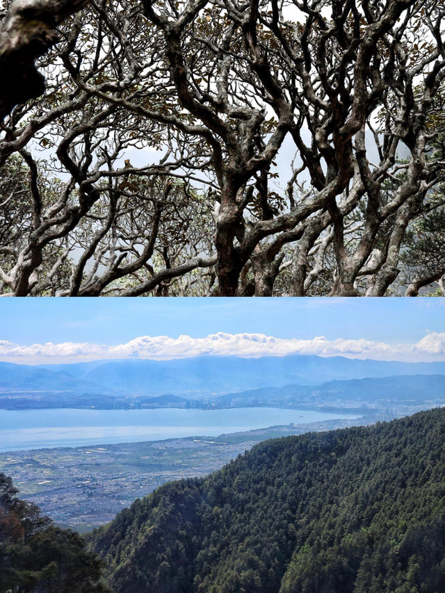 比玉龍雪山更仙！比峨嵋山更野！大理風花雪月終極攻略嚟啦！