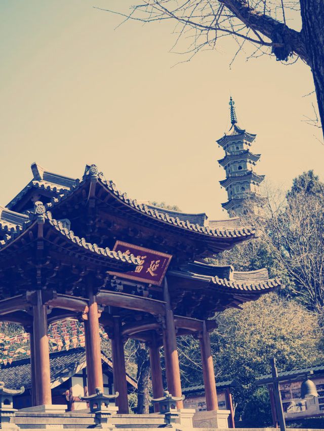 浙江省武義県「延福寺」～千年の歴史と美しい自然が融合する秘境寺院ガイド～**