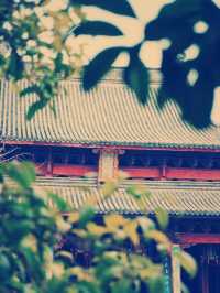 台州龍興寺　禅の心を癒す旅