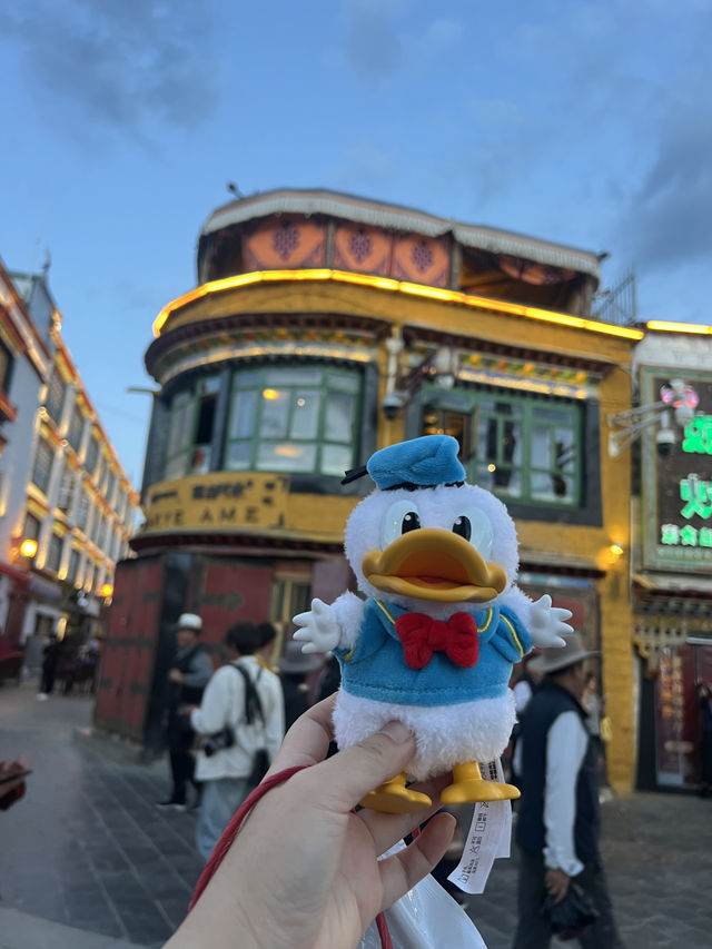 拉薩在你的旅行計劃裏多久了？！！！