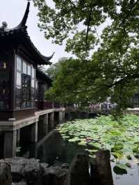 詩意江南，荷香滿蘇城