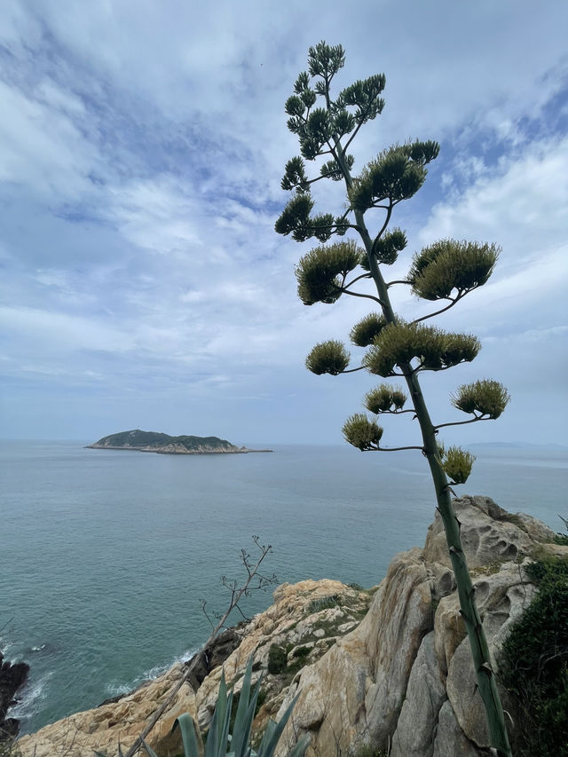 lianjiang beijiaobi