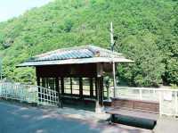 嵐山絕景！嵯峨野小火車漫遊指南】**  
