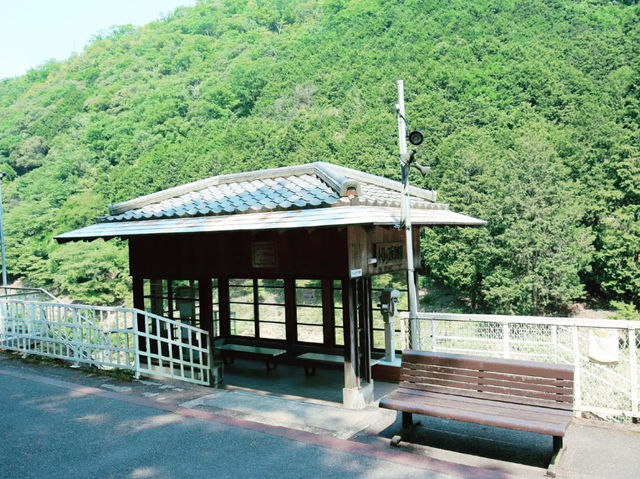 嵐山絕景！嵯峨野小火車漫遊指南】**  