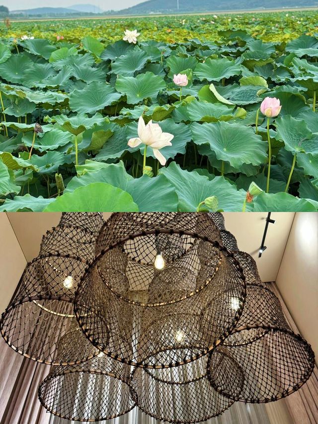 上海周邊衝！蘇州呢間豪華酒店贏到開巷