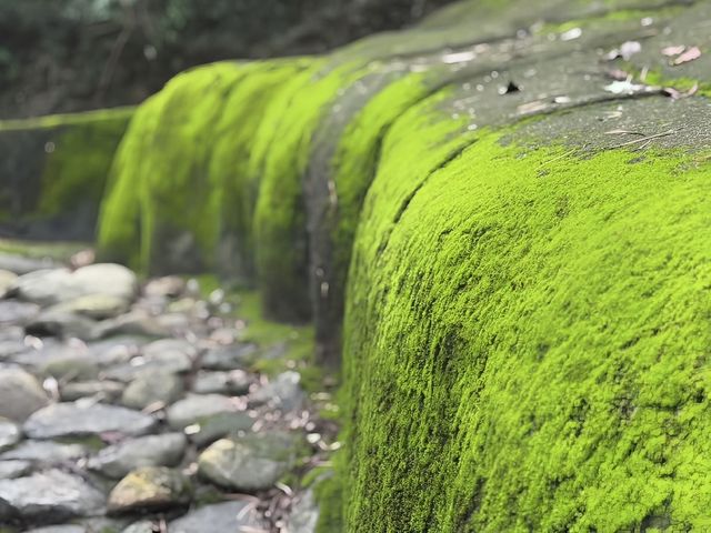 北辰山之夏：一場與自然嘅清涼邂逅