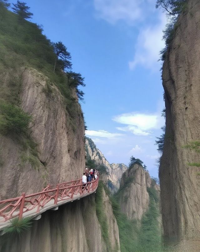 老君山避坑全攻略 老君山避坑全攻略