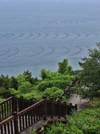 海島騎行治癒指南