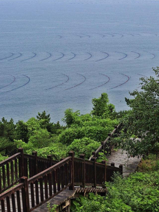 海島騎行治癒指南