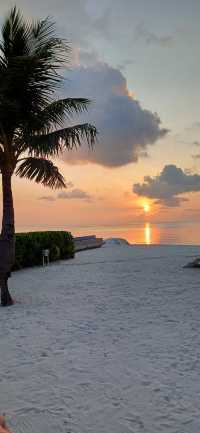 Paradise on Earth: Sun, Sea, and Luxury