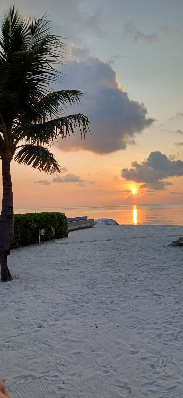 Paradise on Earth: Sun, Sea, and Luxury