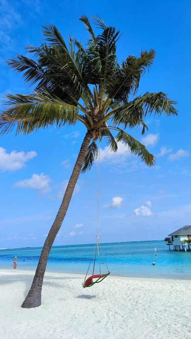 Magical Maldives Getaway
