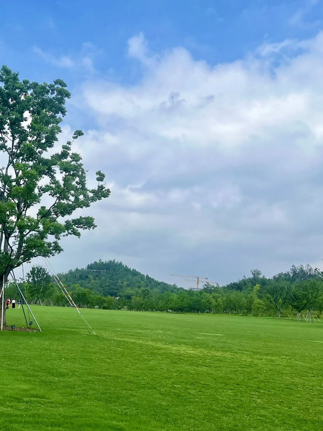 風影隨行，世博文化公園的呢喃