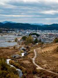 雲海之上聽松風——武平梁野山景區