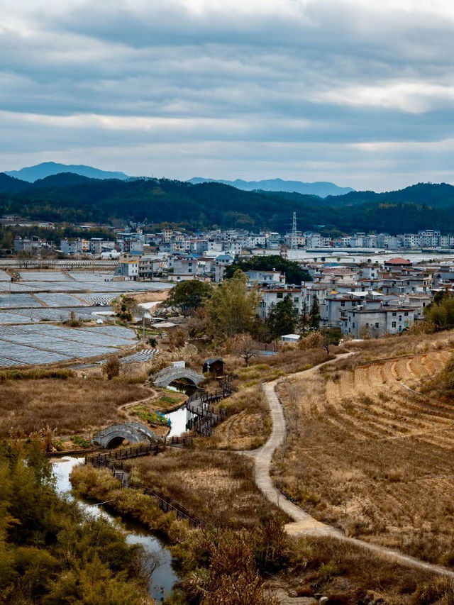 雲海之上聽松風——武平梁野山景區
