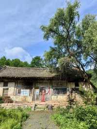 綠意流韻：蟒嶺綠道的清爽遠行