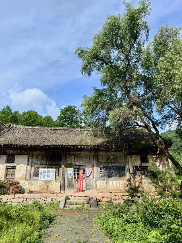 綠意流韻：蟒嶺綠道的清爽遠行