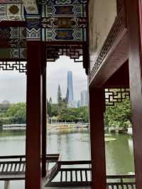 Lychee Park Shenzhen