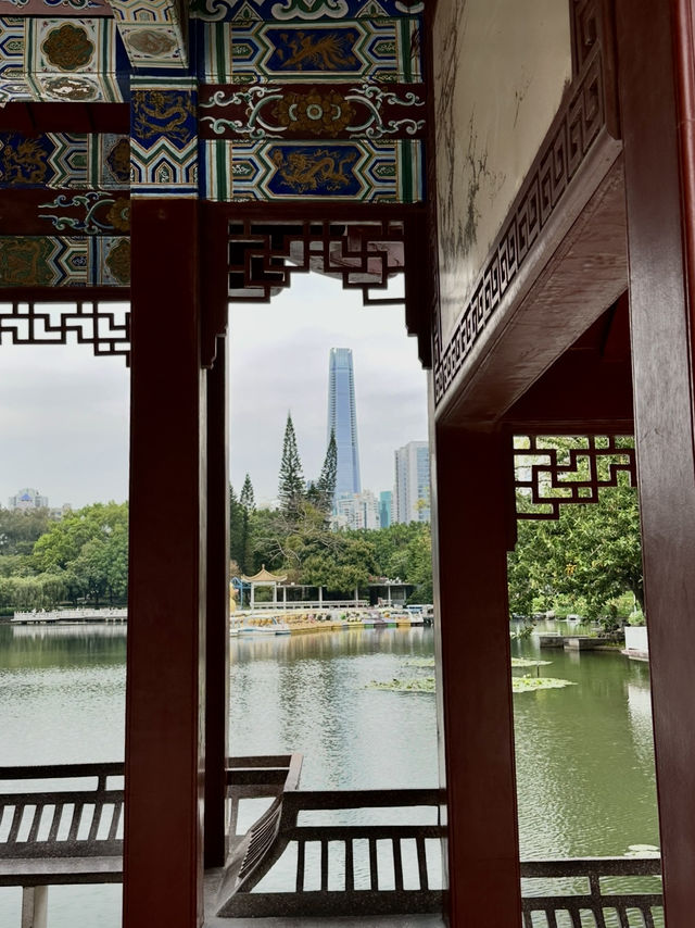 Lychee Park Shenzhen
