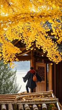 江蘇三天兩晚的旅遊攻略
