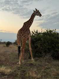 Perfect Honeymoon Experience at Ololo