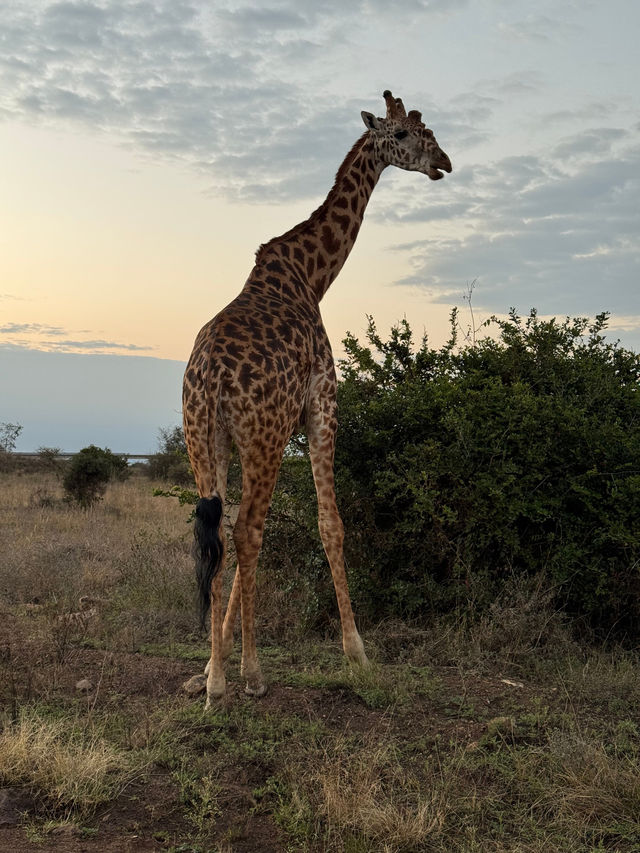 Perfect Honeymoon Experience at Ololo