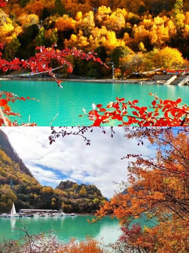 藏地秋日神仙秘境！巴松措攻略快收好
